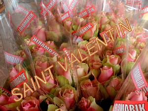 AOBR 2017 02 12 PLAN DE CUQUES LA SAINT VALENTIN  (3)